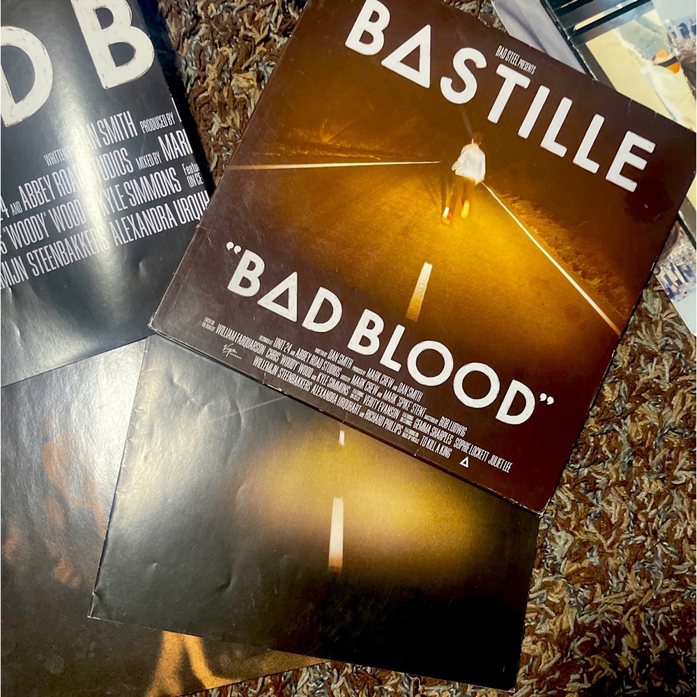 Bad Blood by Bastille (Record, 2013)